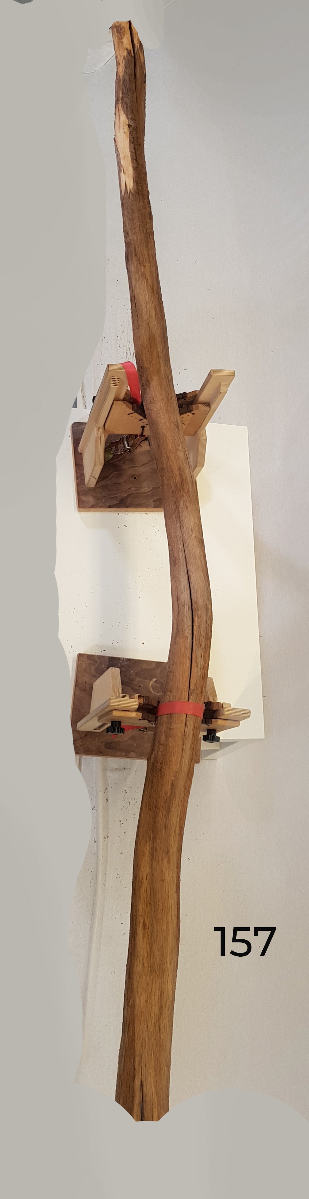 Branch light approx. 240cm long - according to customer request - reserved