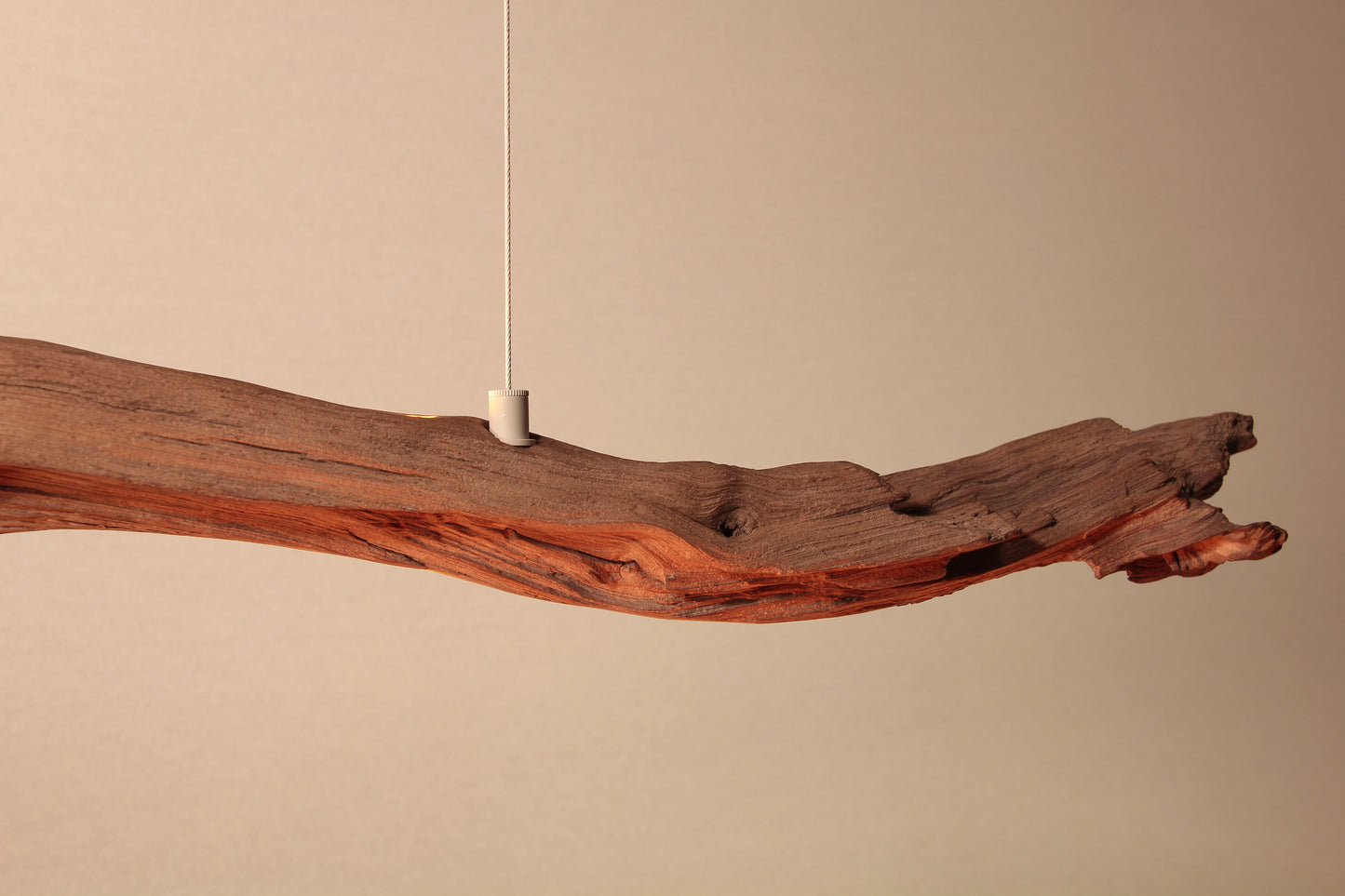 LED dining table lamp - handmade unique piece - 174cm oak branch