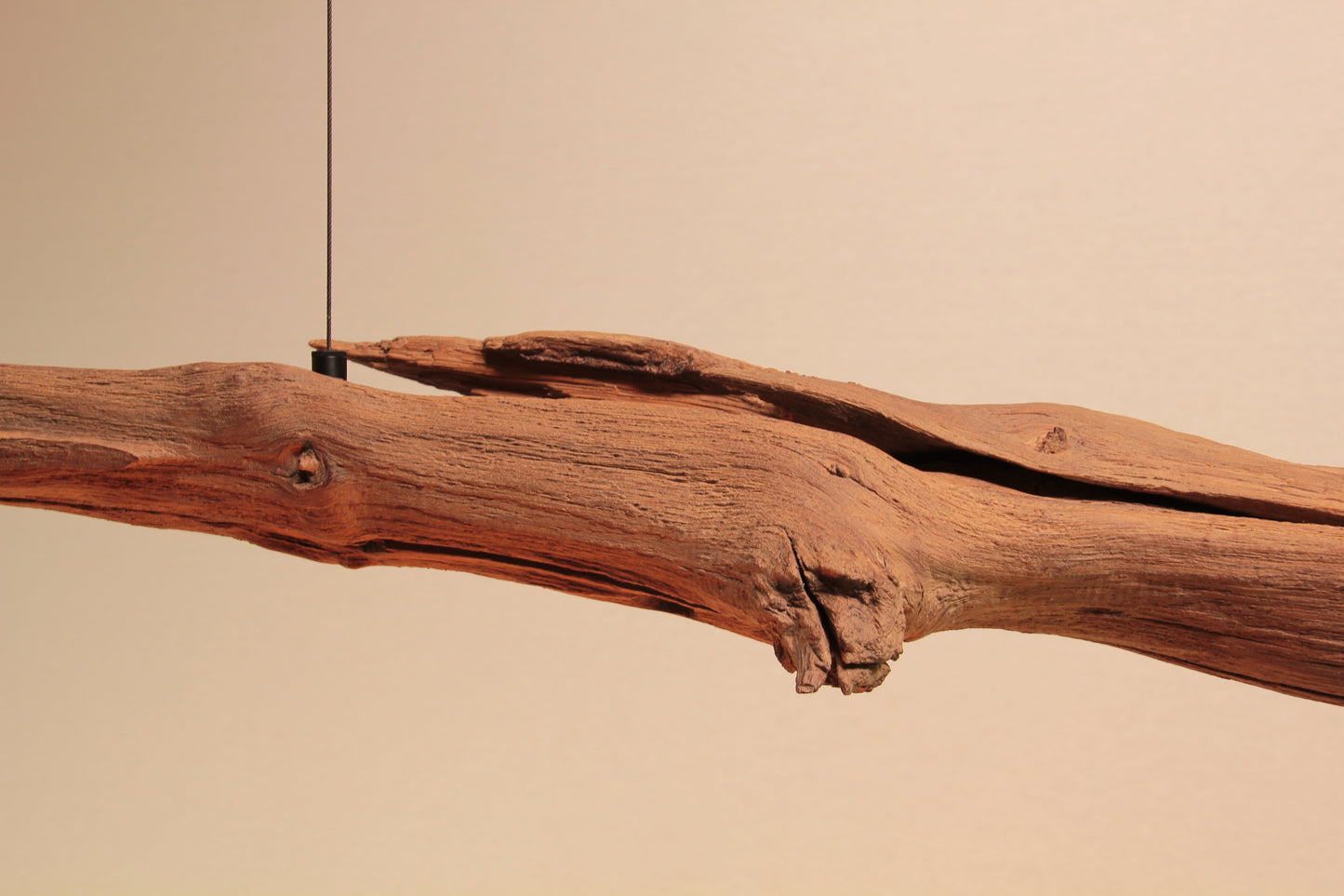 Dining table lamp / LED strip / 151 cm oak branch