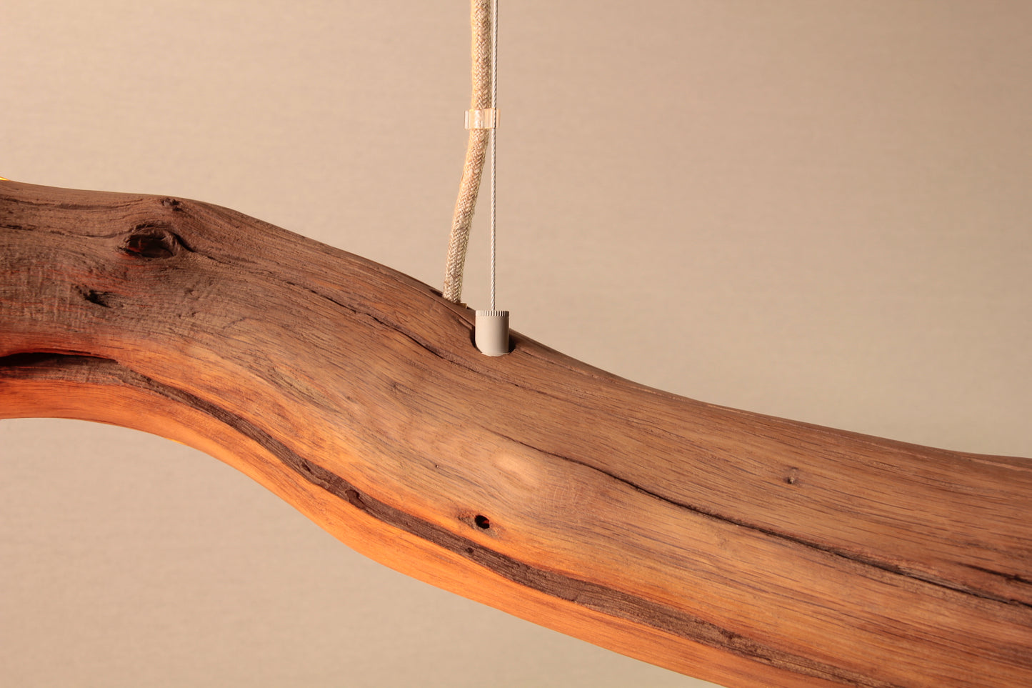 Dining table lamp / LED strip / 181 cm oak branch