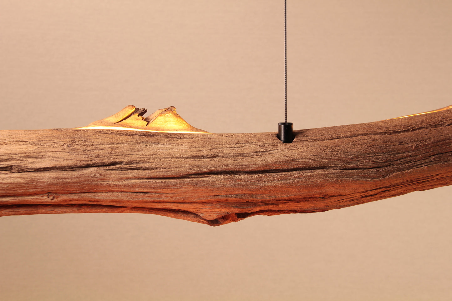 Dining table lamp / LED strip / 240 cm oak branch