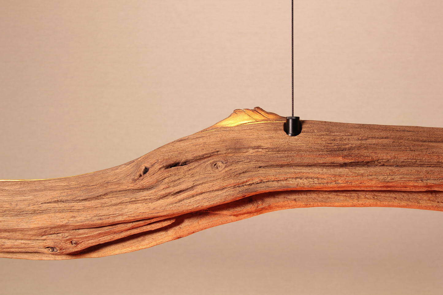 Dining table lamp / LED strip / 240 cm oak branch