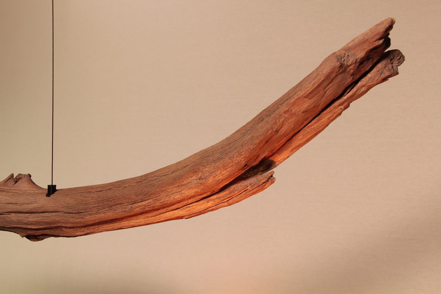 Dining table lamp / LED strip / 240 cm oak branch