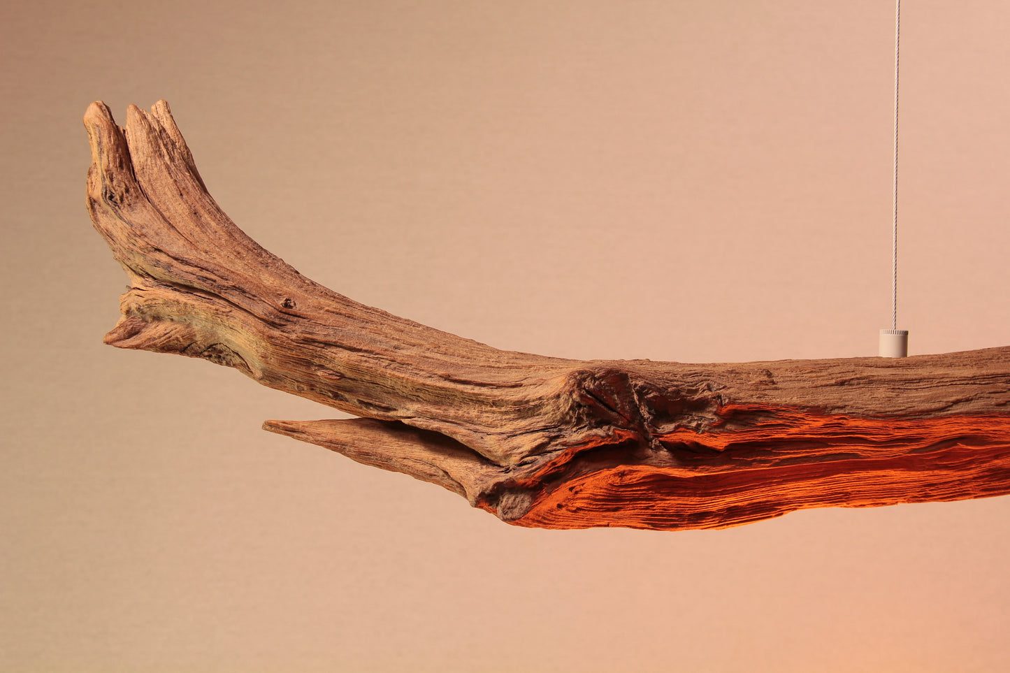 Dining table lamp - handmade unique piece - 190cm oak branch - LED retro