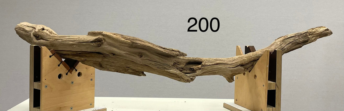 Branch Light 200 - Custom Order - Reserved