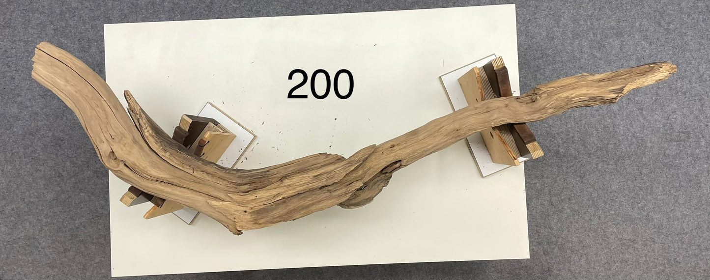 Branch Light 200 - Custom Order - Reserved