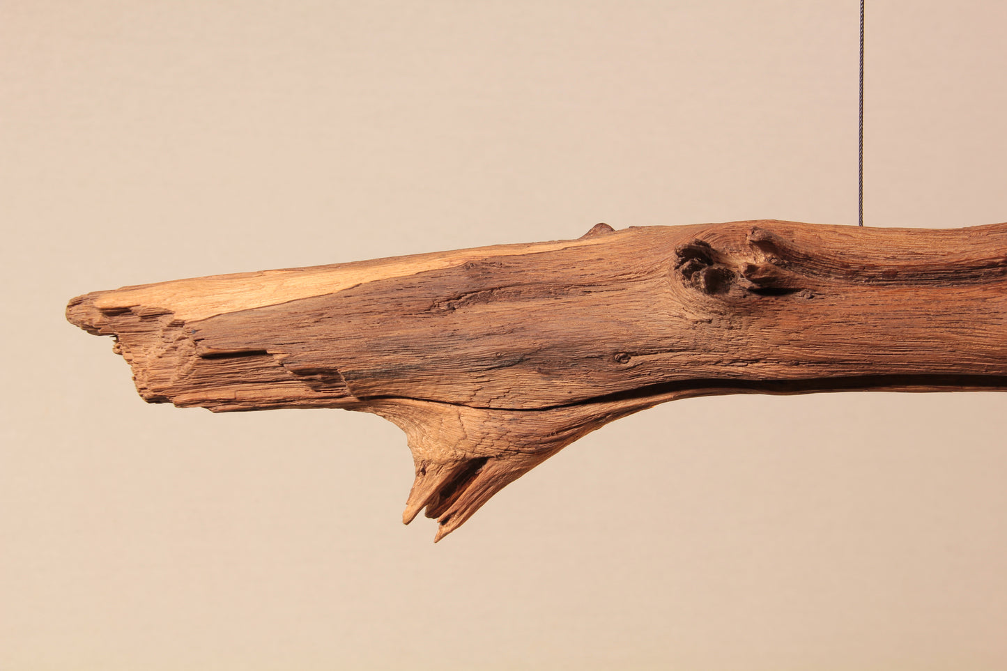 Dining table lamp - handmade unique piece - 164cm oak branch