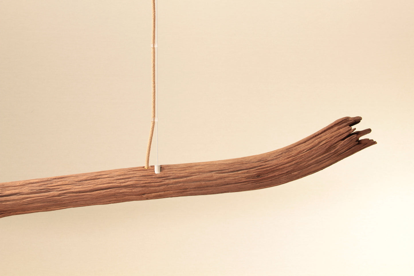 Dining table lamp - handmade unique piece - 229cm oak branch
