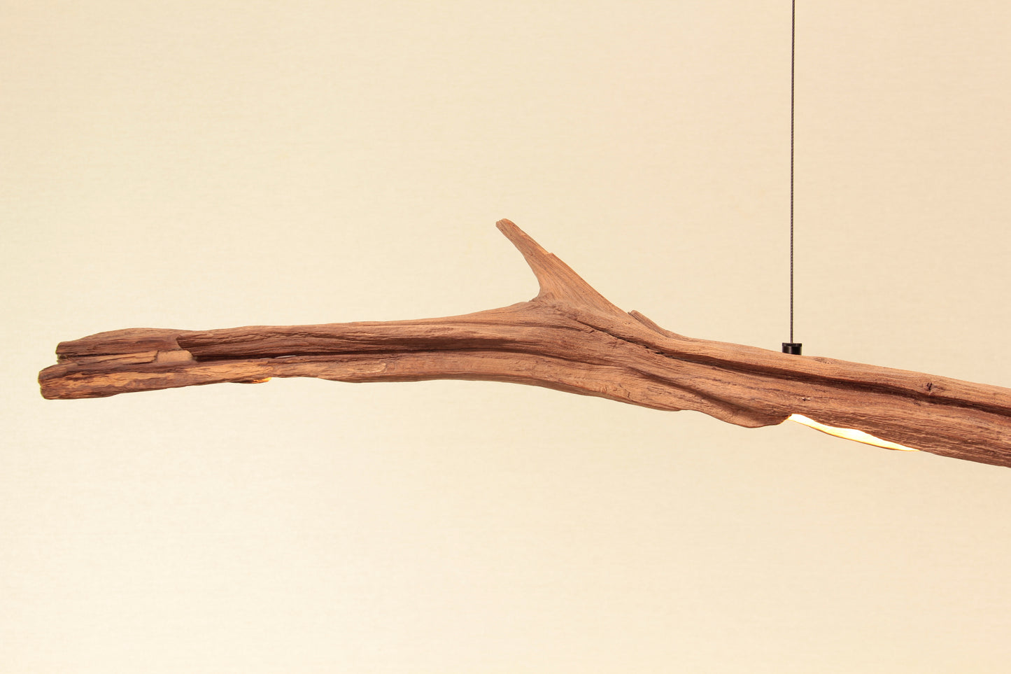 Dining Table Lamp - Handcrafted One-of-a-Kind Piece - 234 cm Oak Branch