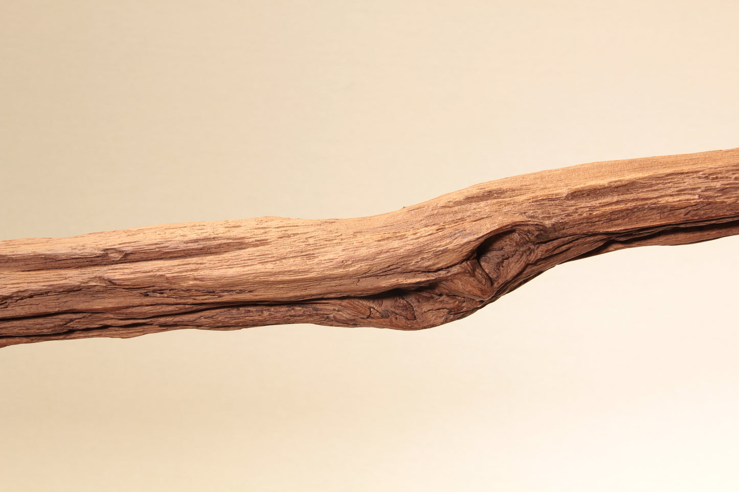 Dining Table Lamp - Handcrafted One-of-a-Kind Piece - 234 cm Oak Branch