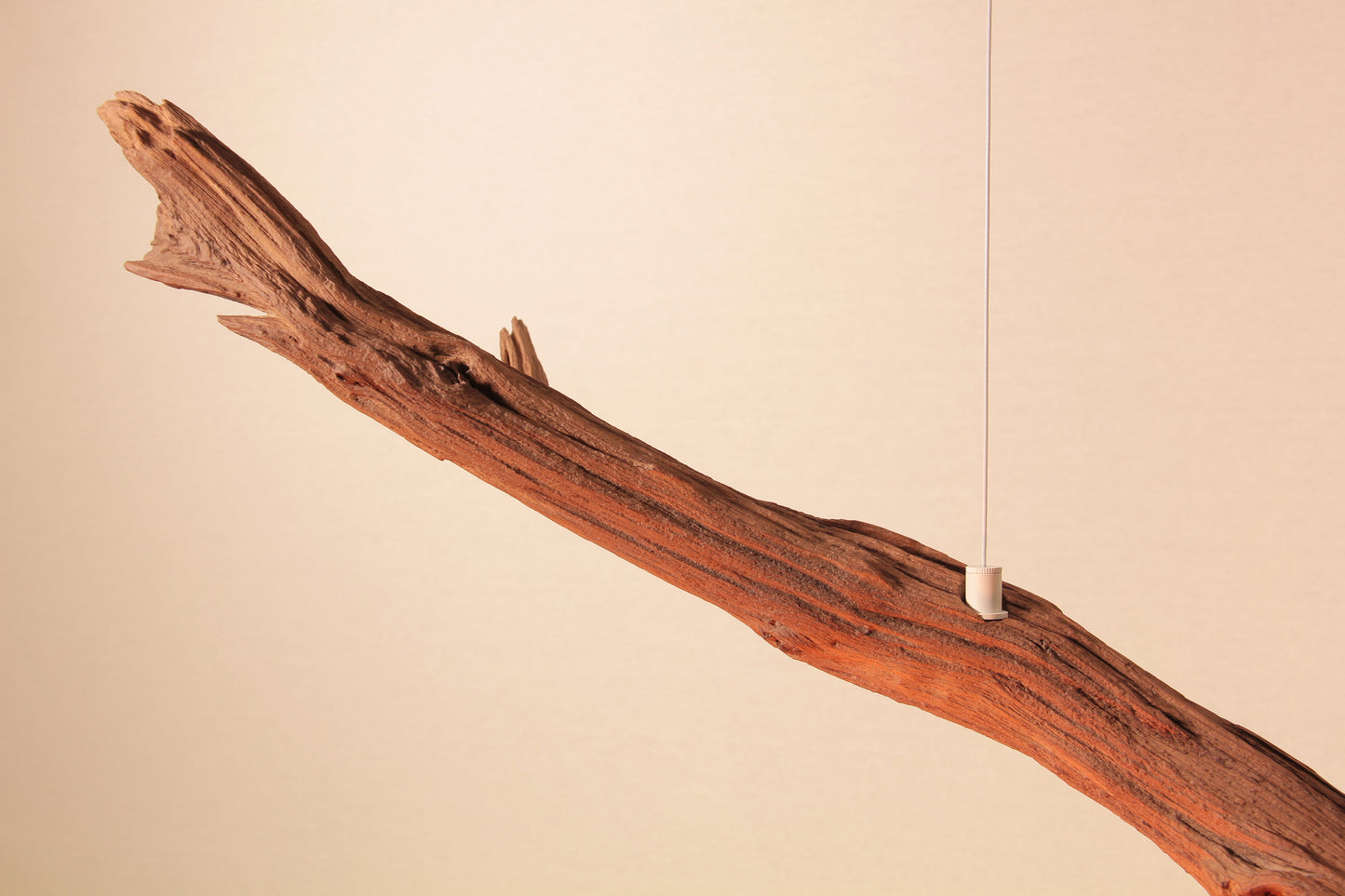 Esstischleuchte / LED Streifen / 177 cm Eichenast