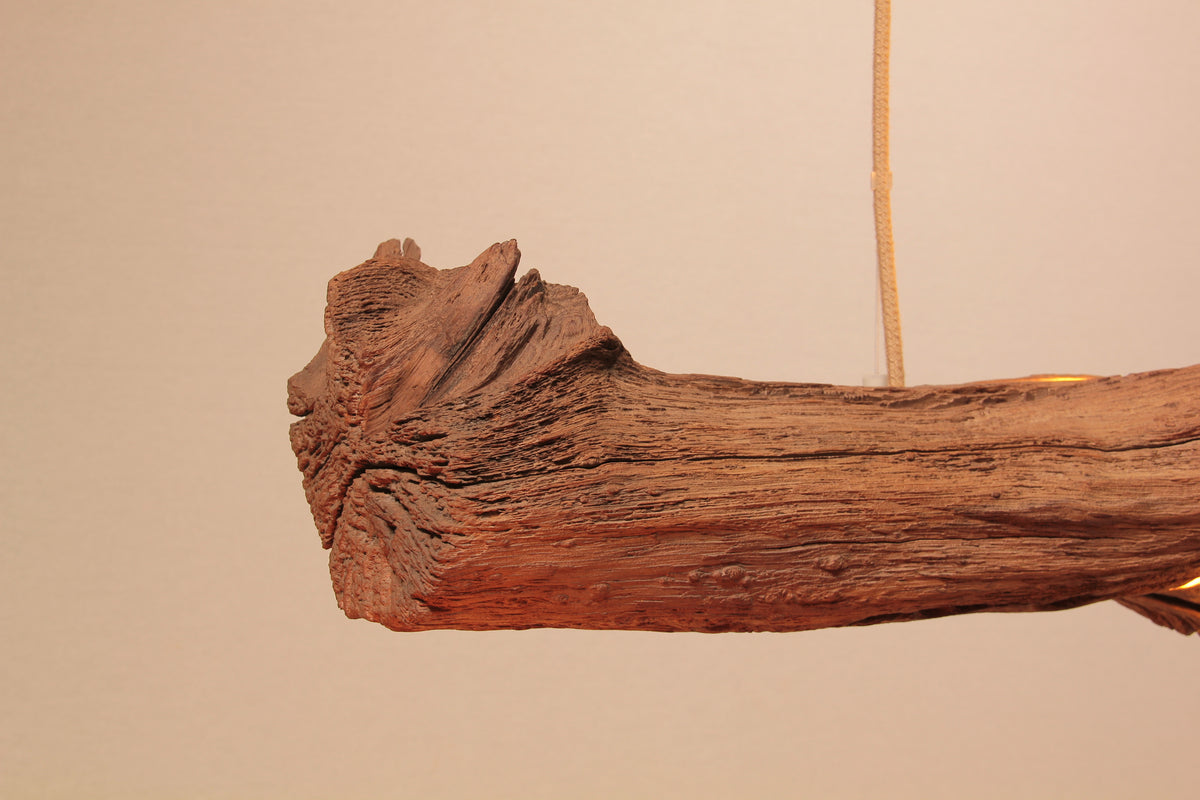 Dining table lamp / LED strip / 147 cm oak branch