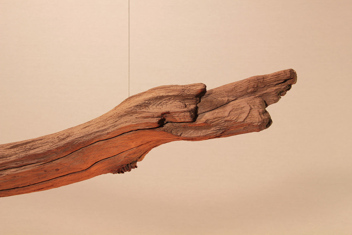 Dining table lamp / LED strip / 147 cm oak branch