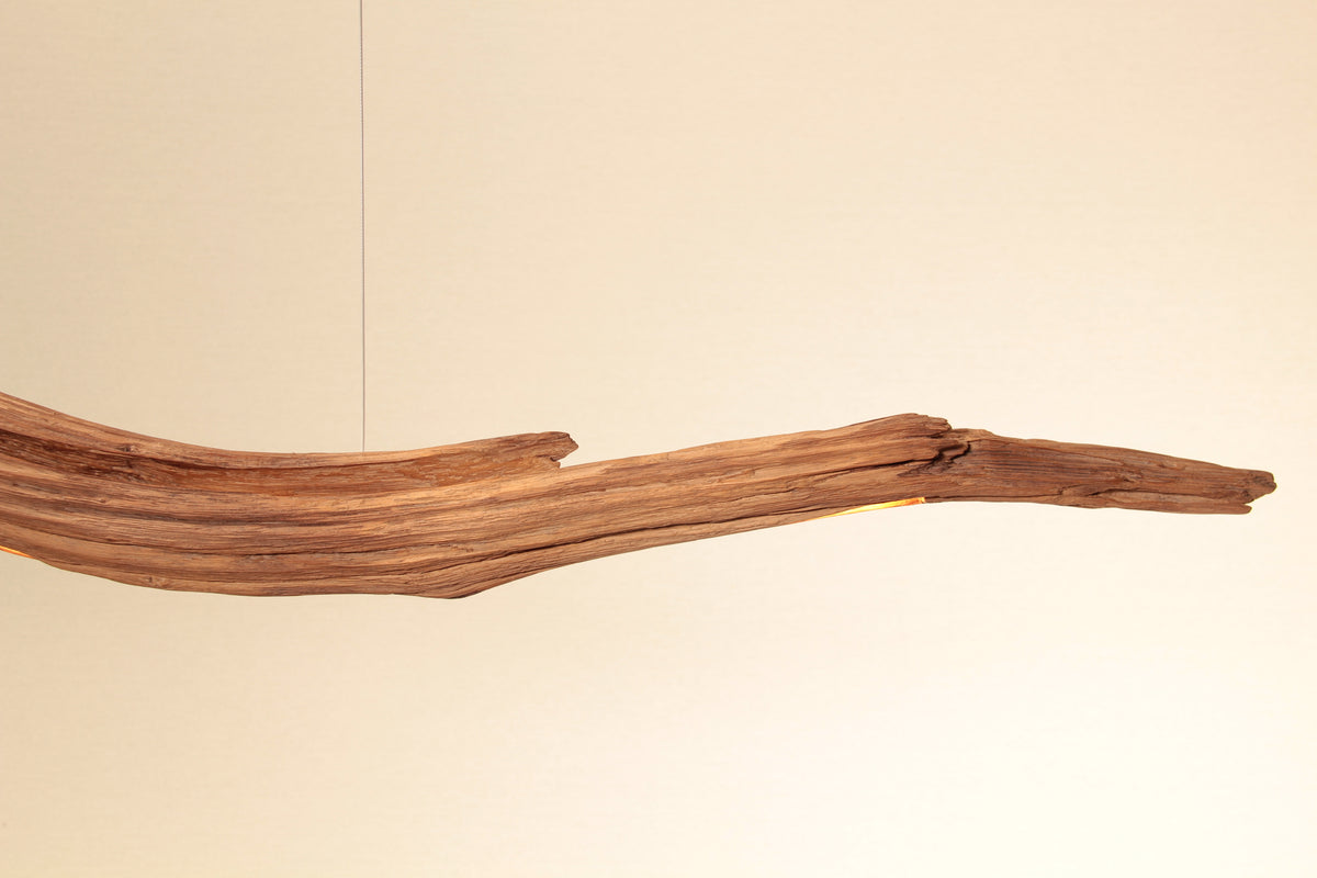 Dining table lamp - handmade unique piece - 229cm oak branch