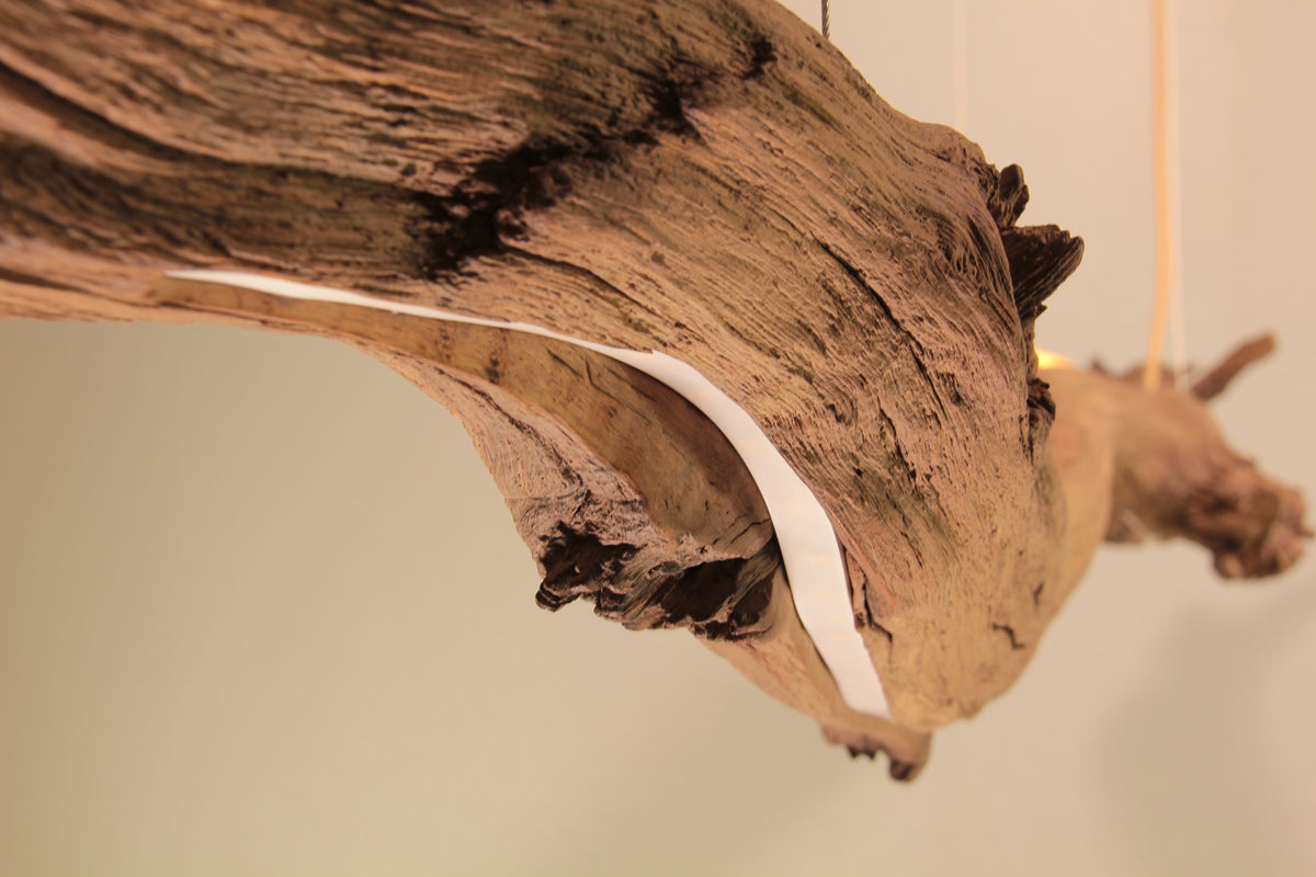 Dining table lamp / LED strip / 147 cm oak branch