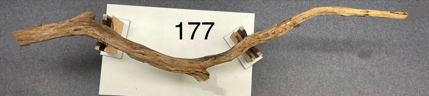 Branch light 177 - according to customer request - reserved