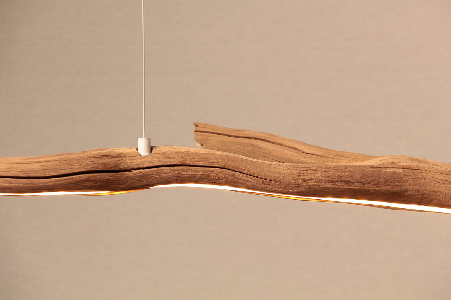 Dining table lamp / LED strip / 168 cm oak branch