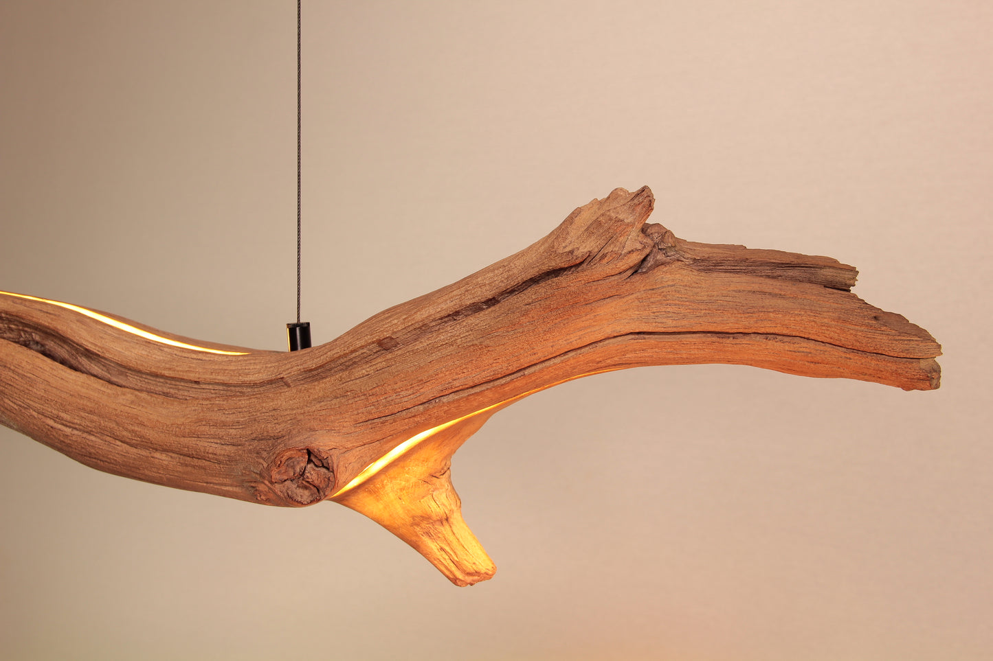 Dining table lamp / LED strip / 115 cm oak branch